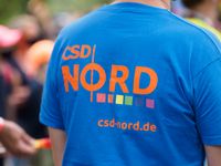 CSD Wendland Demonstration 2020